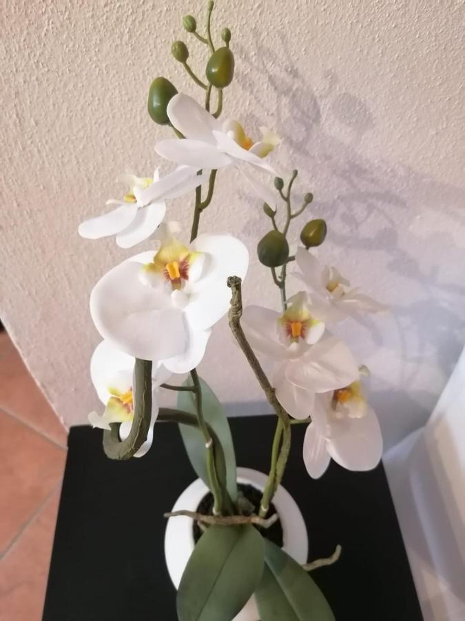 Perla Del Golfo Apartment Lerici Luaran gambar